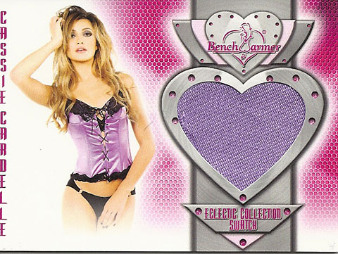 New Card Review Bench Warmer Eclectic Non Sport Entertainment